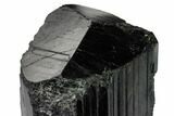 Large, Terminated Black Tourmaline (Schorl) Crystal - Madagascar #172198-3